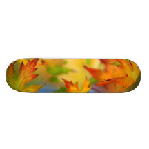 Changing Leaves Skateboards