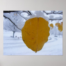 Changing Seasons Print