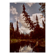 Channel to Oxbow Lake Greeting Cards