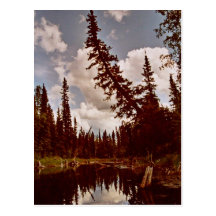 Channel to Oxbow Lake Post Card