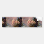 Channeled top shell Shell Bumper Stickers