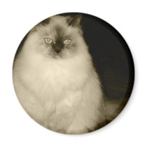 Chantal Magnet