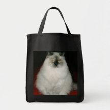 Chantal the Cat Bag