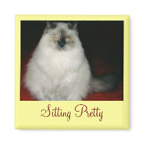 Chantal the Cat Sitting Pretty Magnet