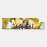 Chanukah Angel Bumper Sticker