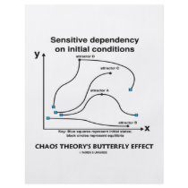 Chaos Theory's Butterfly Effect