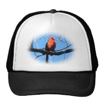Chapeau de cardinal d'hiver casquette
