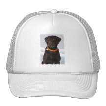 Chapeau de Labrador de chocolat Casquettes De Camionneur
