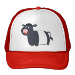 Chapeau de vache à Galloway ceinturé par bande des chapeaux
