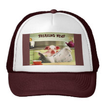 Chapeau intellectuel de porc casquettes