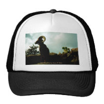 Chapeau/mouflons d'Amérique de l'Arizona chapeaux