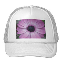 Chapeau pourpre de fleur de marguerite de Gerbera Casquettes