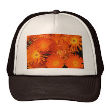 Chapeau, Strawflowers Casquettes De Camionneur