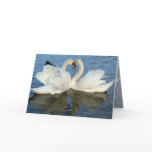 Chaperoned Swan Heart Love Cards
