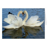Chaperoned Swan Heart Love Cards