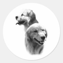Charbon de bois 2 de golden retriever - autocollan