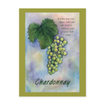 Chardonnay Wine Grapes & Description Postcard