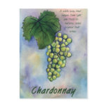 Chardonnay Wine Grapes & Description Postcard