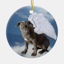 Charity's Law, Eagle's Den Rescue Angel Ornament