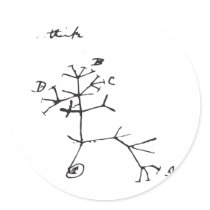 Charles Darwin - I Think (Black) Stickers