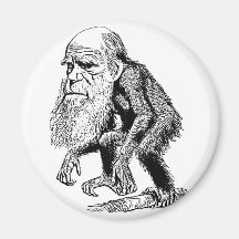 Charles Darwin Magnets