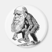Charles Darwin Original Illustration Refrigerator Magnets