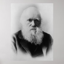 Charles Darwin Print