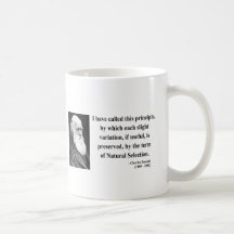 Charles Darwin Quote 6b Coffee Mugs