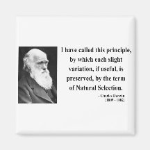 Charles Darwin Quote 6b Refrigerator Magnets
