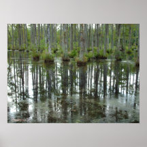 Charleston, SC Print