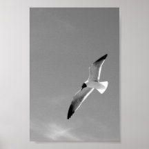 Charleston Seagull Print