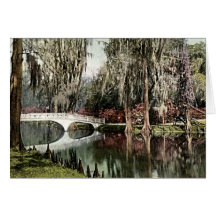 Charleston, South Carolina Cards