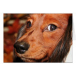 Charlie - Dachshund - Carlson Greeting Card