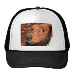 Charlie - Dachshund - Carlson Hat