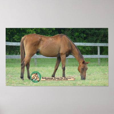 Charlie Horse Print by horsesense