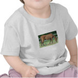 Charlie Horse Toddler Unisex Shirt
