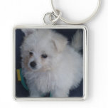 charlie keychains