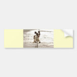 Charlie The Springer! Bumper Stickers