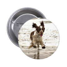 Charlie The Springer! Buttons