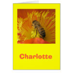 Charlotte Greeting Card