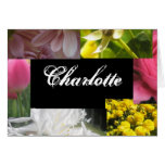 Charlotte Greeting Cards