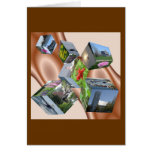 Charlotte County Cards