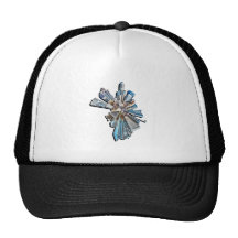 charlotte north carolina hat