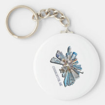 charlotte skyline keychains