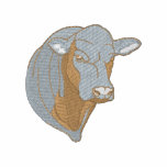 Charolais