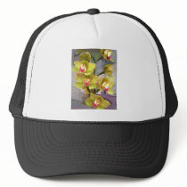 Chartreuse Cymbidiums