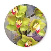 Chartreuse Cymbidiums