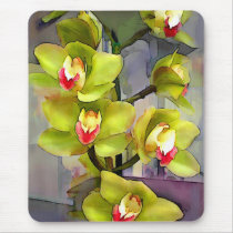 Chartreuse Cymbidiums