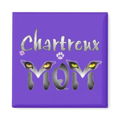 Chartreux Cat Mom Gifts Refrigerator Magnet by CatMeowz