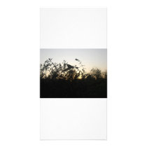 Chasing Shadows - photocard Photo Card Template